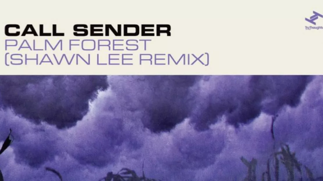 Call Sender fait remixer son titre "Palm Forest" par Shawn Lee